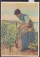 Cressier Dans La Vigne - Peinture De Gustave Jeanneret “L'Attacheuse”- Im Rebberg ; 15 / 10 Cm (14´453) - Cressier