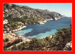 MARSEILLE 13009 BOUCHES DU RHONE CALANQUE DE SORMIOU ANNEE 1972 SA PLAGE ET LE CAP MORGIOU AU LOIN LE BEC DE L'AIGLE - Quartiers Sud, Mazargues, Bonneveine, Pointe Rouge, Calanques