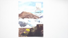 Grönland 198 Yt 186 Maximumkarte MK/CM, SST PHILATELIA 1989, Felsenmohn (Papaver Radicatum) - Maximum Cards