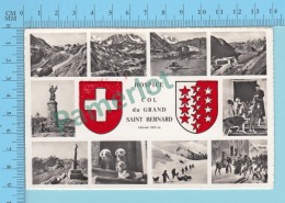 SUISSE BOURG SAINT PIERRE Hospice Et Col Du Grand Saint Bernard Multivues Blasons - Carte Photo -2 Scans - Bourg-Saint-Pierre 