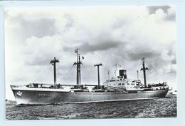 Nedlloyd - M.s. "Merwe Lloyd" - Tanker