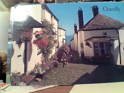 DEVON  CLOVELLY VB1993 FW9525 - Clovelly