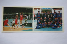 Sport. RUSSIA. . VOLLEYBALL Team -  1981 Postcard - Volleyball