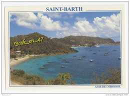 {45701} 977 Saint Barthélemy , Anse De Corossol - Saint Barthelemy