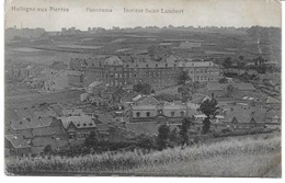 HOLLOGNE AUX PIERRES (4460) Panorama Institut Saint Lambert - Flémalle