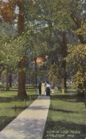 Wisconsin Appleton View In City Park 1916 - Appleton