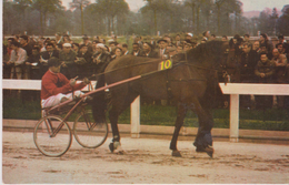 CPM  9X14. Hippisme . André FAURE Et Cheval QUASIPYL N° 10. Au Dos: Calendrier Courses 04/1967 +Pub Vins POSTILLON - Horse Show