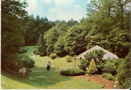 ASSESSE / MAILLEN (5330) : Parc Du Domaine De Ronchinne. Centre De Vacances Des Postiers (F.S.A.P.). CPSM. - Assesse