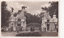 AK Hamburg - Carl Hagenbeck's Tierpark - Haupteingang - Altona-Stellingen - 1934 (26673) - Stellingen