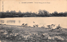 Quarré Les Tombes      89      Vue De L'étang -Oies  -   (voir Scan) - Quarre Les Tombes