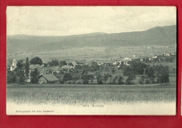 PRL-16  Burtigny Et Vue Sur Le Jura. Cachet 1907 - Burtigny