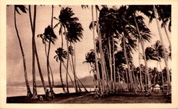 Un Orage Sur Samoa - Samoa