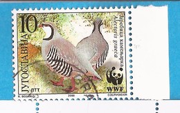 2000  2966-69 WWF  FAUNA BIRDS JUGOSLAVIJA JUGOSLAWIEN USED - Gebraucht