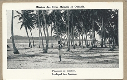 ARCHIPEL  DES  SAMOA   PLANTATION DE COCOTIERS - Samoa