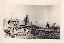 TRACTEUR A CHENILLE DANS LES VIGNES (PHOTOGRAPHIE) - Tractors