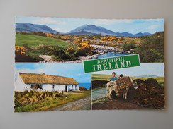 IRLANDE DU NORD BEAUTIFUL IRELAND - Altri & Non Classificati