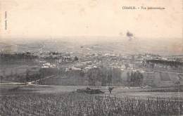 Chablis       89        Vue Panoramique    - En Partie Décollée -            (voir Scan) - Chablis