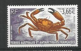 TAAF ANTARTCTIC ANTARTIDA POLO SUR CANGREJO CRAB FAUNA - Antarctic Wildlife