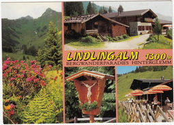 SENNHÜTTE - Lindlingalm 1300 M., Hinterglemm -  (Salzburger Land, Austria) - Saalbach