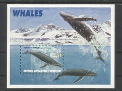 BRITISH ANTARCTIC TERRITORY  ANTARTIDA POLO SUR ANTARCTICA BALLENA WHALE MAMIFERO - Faune Antarctique