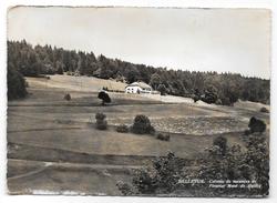 BELLEVUE - Colonie De Vacances De Fleurier Mont-de-Buttes - Photo A. Lorimier - Bellevue