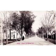 JNTP7830-LFTD9688.Tarjeta Postal De JAEN.Edificios,arboles,personas En El PASEO DE ALFONSO Xlll En  JAEN - Jaén