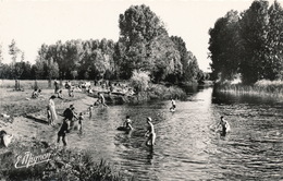 ( CP SM PF 45 )  DORDIVES  /  La Baignade Sur Le Loing - - Dordives