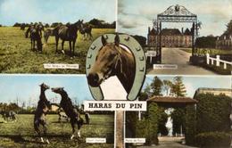 HARAS Du PIN  - - Bazoches Sur Hoene