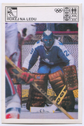 Ice Hockey, Eishockey - SVIJET SPORTA CARD - Trading-Karten
