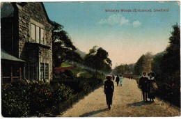 Whiteley Woods, Entrance, Sheffield (pk32599) - Sheffield