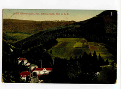 C 19313   -   Bad Griesbach  -  Bad Schwarzwald, 600 M G. M. - Bad Peterstal-Griesbach