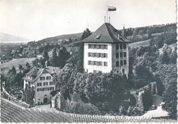 Gelfingen - Schloss Heidegg           Ca. 1950 - Gelfingen