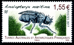 TAAF 2017 - Amalopteryx** - Unused Stamps