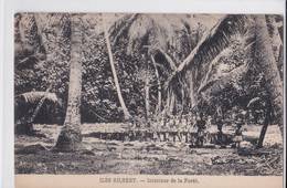 Carte 1915 ILES GILBERT / INTERIEUR DE LA FORET - Micronesia