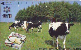 Télécarte JAPON * CAMEMBERT * VACHE (701) COW * KOE * BULL * TAUREAU * KUH * PHONECARD JAPAN * TK * VACA TAURUS - Vaches