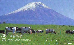 Télécarte JAPON * 291-109 * VACHE (706)  COW * KOE * BULL * TAUREAU * KUH * PHONECARD JAPAN * TK * VACA TAURUS - Vaches