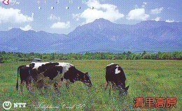 Télécarte JAPON * 250-447 * VACHE (718)  COW * KOE * BULL * TAUREAU * KUH * PHONECARD JAPAN * TK * VACA TAURUS - Kühe