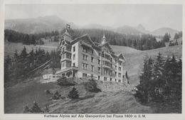 FLUMS → Kurhaus Alpina Auf Der Alp Gamperdon Anno 1916 - Flums