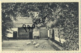 Keerbergen : Kempische Hoeve - Keerbergen