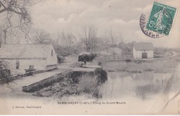 SEMBLANCAY                     L'etang Du Grand Moulin - Semblançay