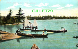 THOUSAND ISLANDS, ONTARIO -  CANOES  SCENE AMONG THE 1,000 ISLANDS - ILLUSTRATED POST CARD CO - - Thousand Islands