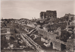 CARTE PHOTO,E RICHTER, Italie,italia,LATIUM,LAZIO,ROME,ROMA,OSTIA,ROME ANTIQUE - Sonstige & Ohne Zuordnung