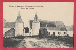 Montignies-St-Christophe ( Erquelinnes ) - Entrée Du Château ( Voir Verso ) - Erquelinnes
