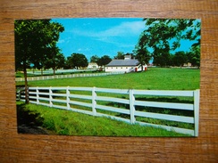 états-unis , Picturesque Horse Farm In The Heart Of The Bluegrass Region , Lexington , Kentucky - Lexington