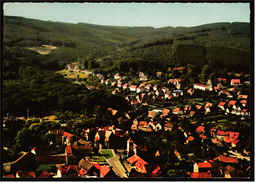 Barsinghausen ( Deister )  -  Luftbild  -  Ansichtskarte Ca.1966    (6756) - Barsinghausen