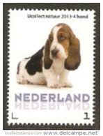 Nederland  2013-4  Ucollect Natuur Hond  Bassett  Postfris/mnh/neuf - Ongebruikt