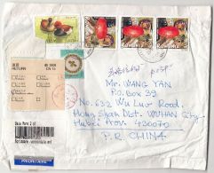 4952FM- VLADESTI CERAMICS, DUCK, MUSHROOMS, STAMPS ON REGISTERED COVER, 2010, ROMANIA - Storia Postale