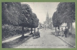 CPA - SEINE ET MARNE - BRIE COMTE ROBERT - AVENUE THIERS - Animation, Jardinier Et Sa Brouette -  B.F. Paris / 42 - Brie Comte Robert