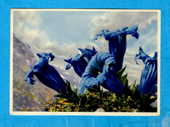 ** ENZIAN ** Kunstbildpostkarte Nach Einem Entwurf Von Paul LÖFFLER   -   Verlag : BUNKOWSKI Ehrard - Dresden  N° M/1293 - Loeffler