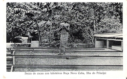 POSTCARD AFRICA SÃO TOME AND PRINCIPE - SECA DE CACAU , ROÇA NOVA CUBA  PRINCIPE CACAO - Sao Tome And Principe